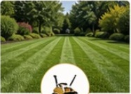 Freshly striped lawn