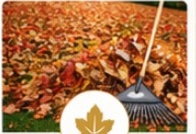Leaf cleanup with a rake